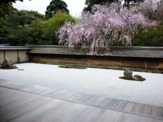 Fotos eines schönen japanischen Gartens