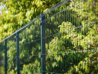 Grüner Stabmattenzaun im Sonnenschein