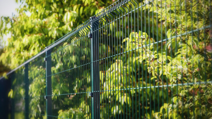 Grüner Stabmattenzaun im Sonnenschein